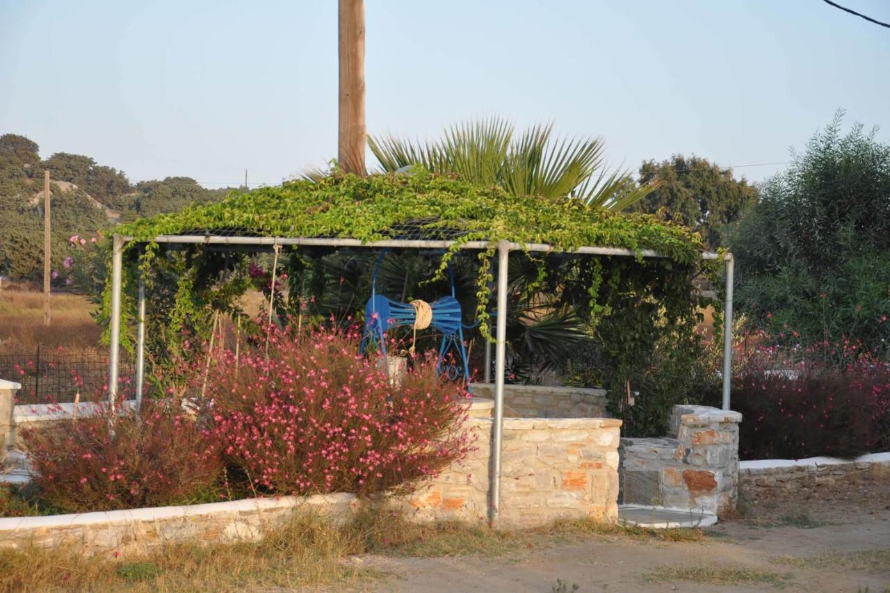 Crystal Naxos 1 Studios At Mikri Vigla Exterior foto