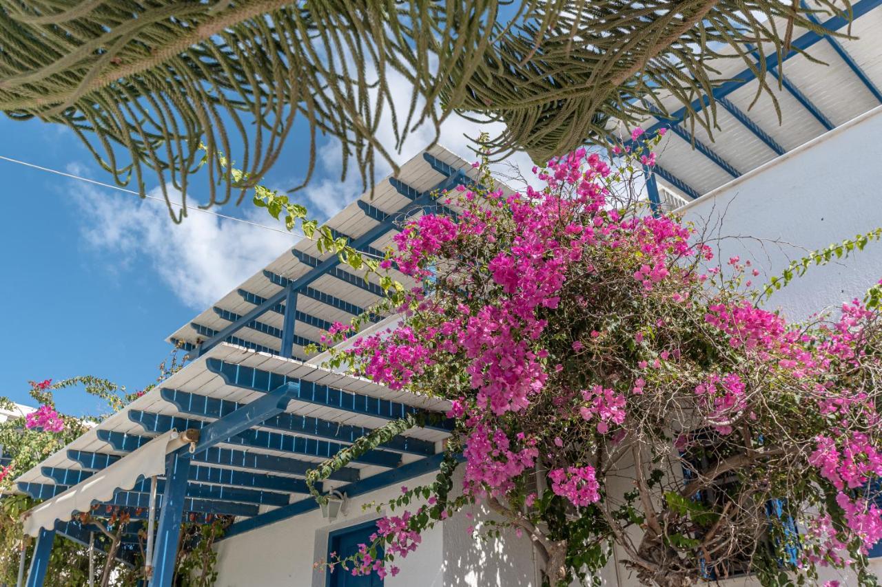 Crystal Naxos 1 Studios At Mikri Vigla Exterior foto
